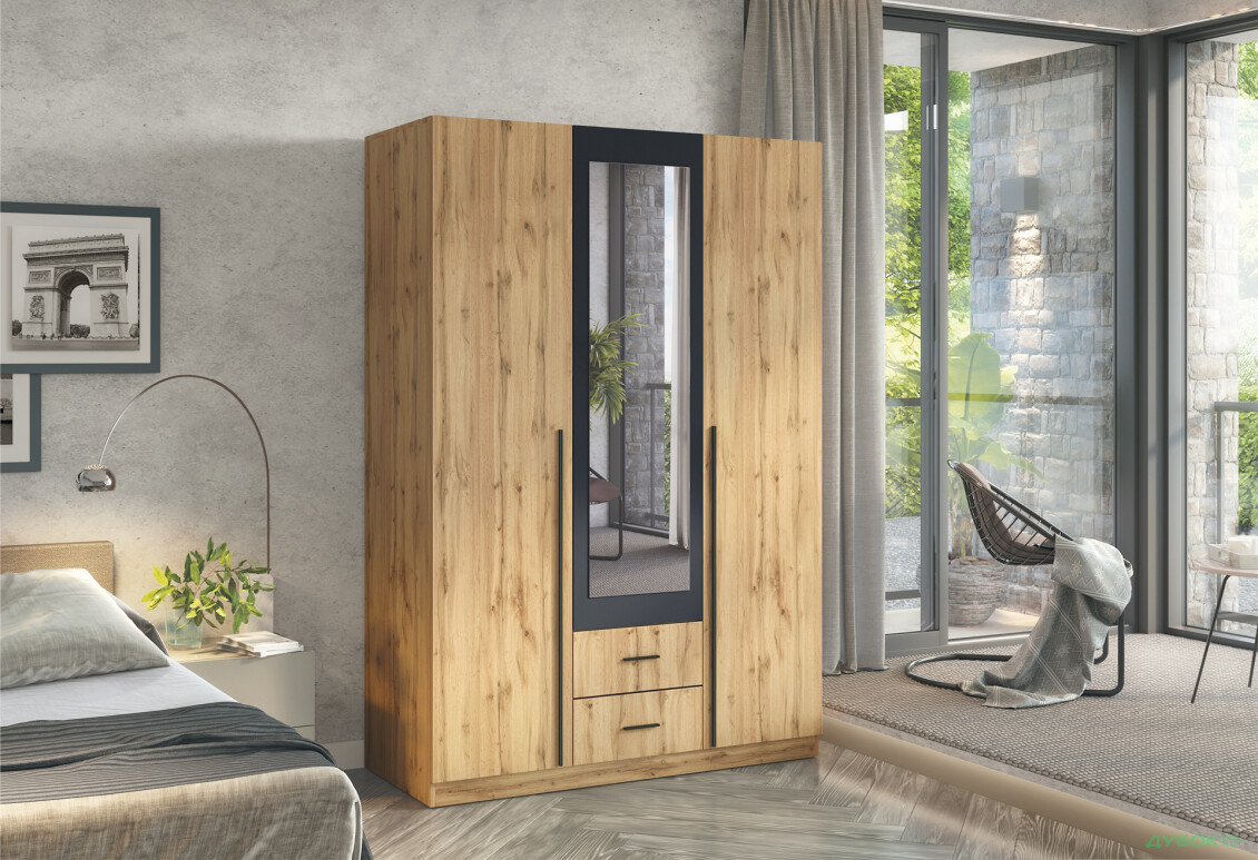 Шафа Київський стандарт Ліон 3Д2Ш 3-дверна з дзеркалом 136 см дуб аппалачі / антрацит - Зображення 2 Зображення 2 - Шафа Київський стандарт Ліон 3Д2Ш 3-дверна з дзеркалом 136 см дуб аппалачі / антрацит