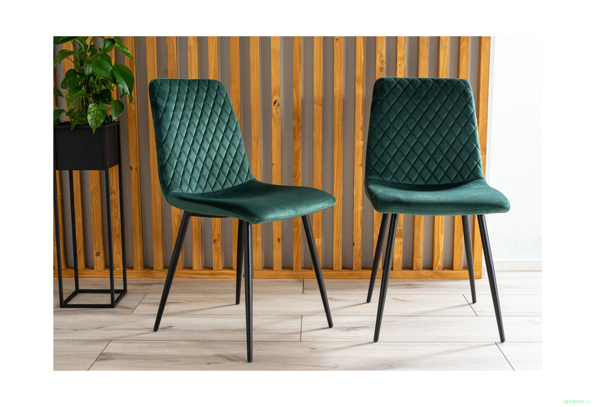 Изображение 4 - Стул Iris Velvet / Ирис Вельвет черный металл / Bluvel 78 зеленый Креденс Фениче
