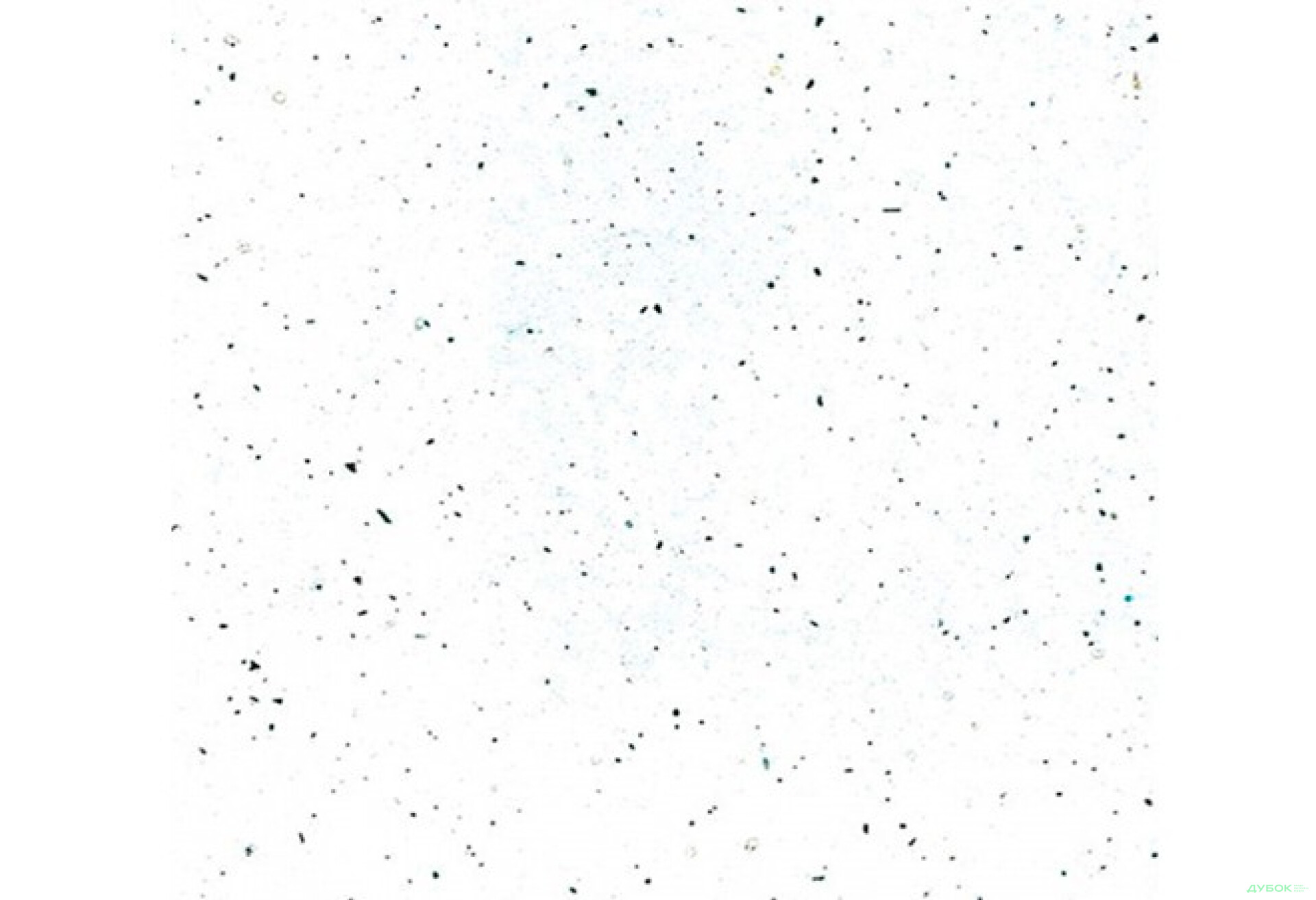 Фото 1 - 101W(6291) SQ столешница Андромеда Белая 38 мм Кроноспан