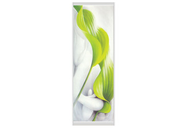 Фасад Ф-740 Фотодрук WT Рим-Венеціано 2Д 1.5м VIP-master