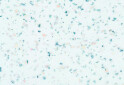 Фото 1 - 101W столешница Андромеда Белая 38 мм Кроноспан