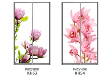 Фасад 200x56 Рисунок на ДСП Наоми 2.1 Мебель Стар