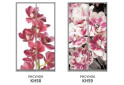 Изображение 7 - Фасад 200x56 Фотопечать Наоми 2.1 Мебель Стар