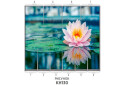 Изображение 33 - Фасад 200x56 Фотопечать Наоми 2.1 Мебель Стар