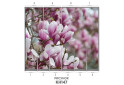 Изображение 46 - Фасад 200x56 Фотопечать Наоми 2.1 Мебель Стар