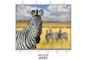 Изображение 62 - Фасад 200x56 Фотопечать Наоми 2.1 Мебель Стар