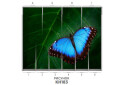 Изображение 63 - Фасад 200x56 Фотопечать Наоми 2.1 Мебель Стар
