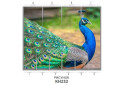 Изображение 80 - Фасад 200x56 Фотопечать Наоми 2.1 Мебель Стар