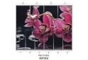 Изображение 37 - Фасад 200x56 Фотопечать Наоми 2.4 Мебель Стар
