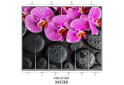 Изображение 40 - Фасад 200x56 Фотопечать Наоми 2.4 Мебель Стар