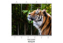 Изображение 78 - Фасад 200x56 Фотопечать Наоми 2.4 Мебель Стар