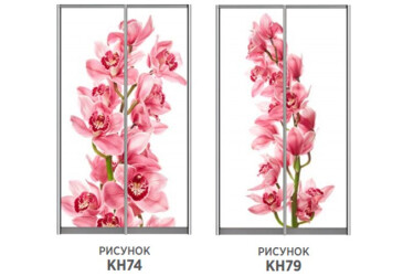 Фасад 200x56 Фотопечать Наоми 2.4 Мебель Стар