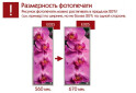 Изображение 3 - Фасад Рисунок на ДСП 711 Наоми 2.7 Мебель Стар