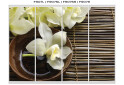 Зображення 45 - Фасад Ф-550 Фотодрук WT Рим-Венеціано 2Д 1.1м VIP-master