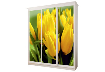 Рим-Венеціано 3Д 1.9м VIP-master