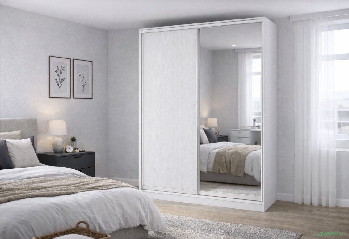 Изображение 2 - Шкаф-купе Киевский стандарт 2-дверный с зеркалом 160x240x60 см