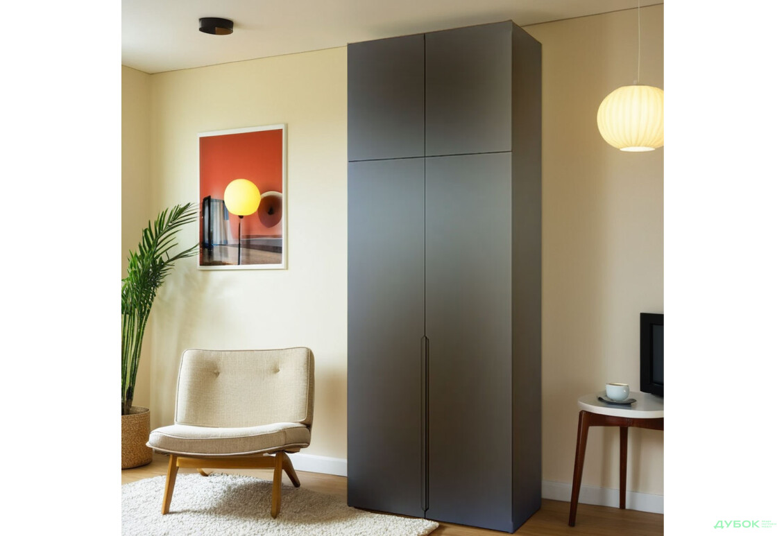 Шкаф Вип-Мастер Неаполь 2-дверный с антресолью 100 см Антрацит - Изображение 3 Изображение 3 - Шкаф Вип-Мастер Неаполь 2-дверный с антресолью 100 см Антрацит