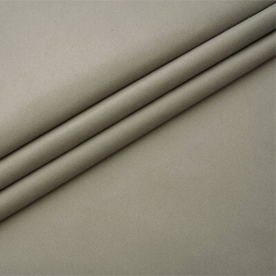 Багира Exim Textile 18-Silver-Poplar