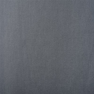 Багира Exim Textile 35 Castor Gray