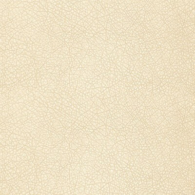 Vegas Дивотекс Biscuite