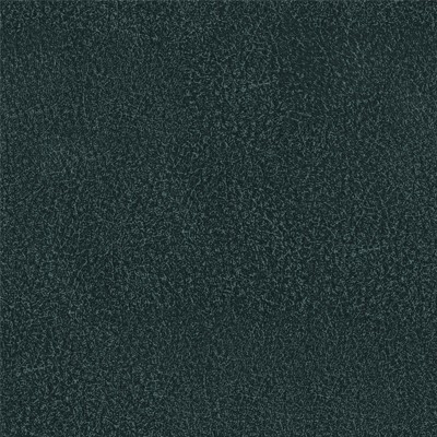 Richmond Артекс Blue