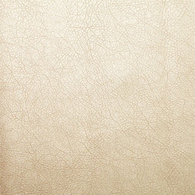 Vegas Дивотекс Bone