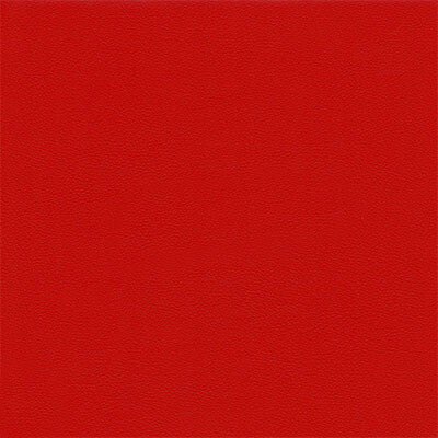 Boston шкірзам Bjorn Boston 06