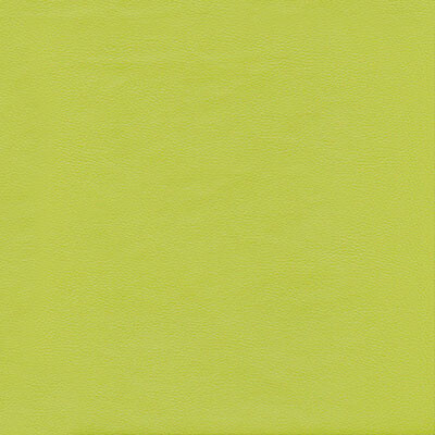 Boston шкірзам Bjorn Boston 11