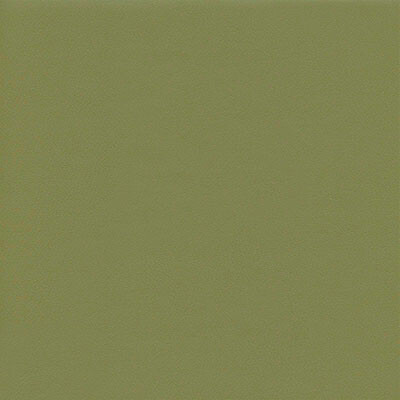 Boston шкірзам Bjorn Boston 12