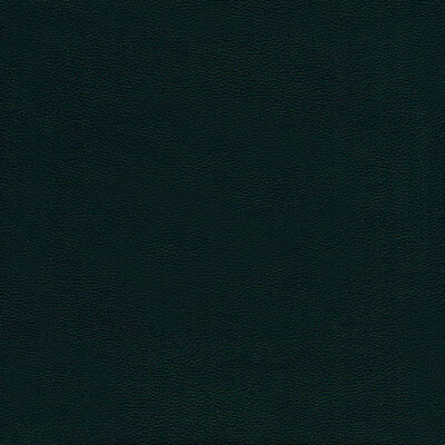 Boston шкірзам Bjorn Boston 15