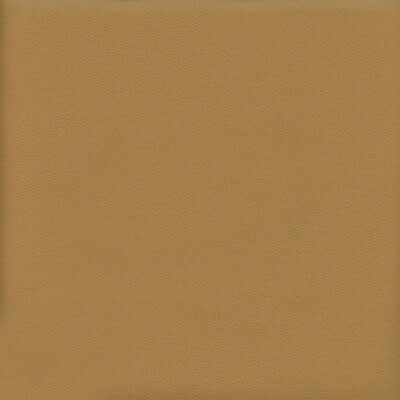 Boston шкірзам Bjorn Boston 24