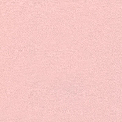 Boston шкірзам Bjorn Boston 33