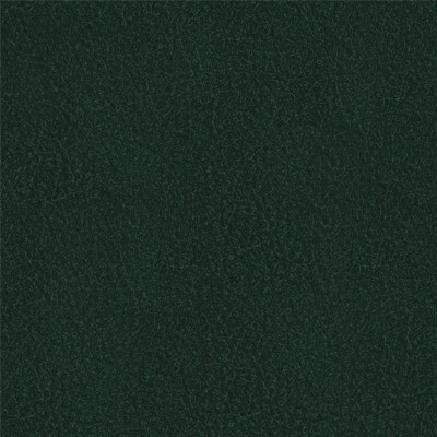 Richmond Артекс Bottle green