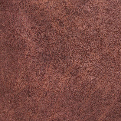 Assen Дивотекс Brown