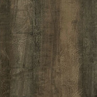 дерево трансильванія