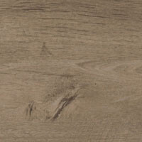 дуб бургундський