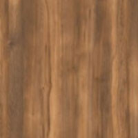 дуб бурштиновий