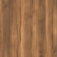 дуб янтарный