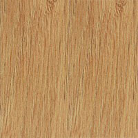 дуб кам'яний