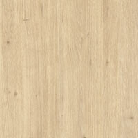 дуб королівський