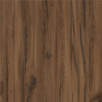 дуб ліворно