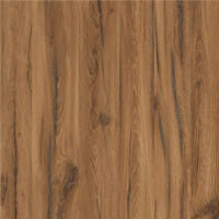 дуб ліворно