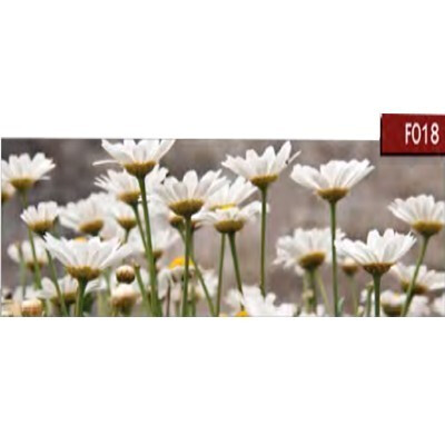 Цветы Мебель Стар F018