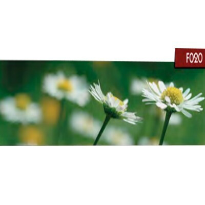 Цветы Мебель Стар F020