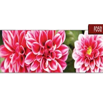 Цветы Мебель Стар F052