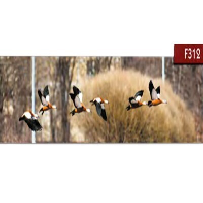 Животные Мебель Стар F312