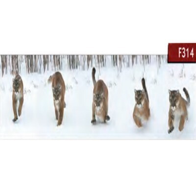 Животные Мебель Стар F314