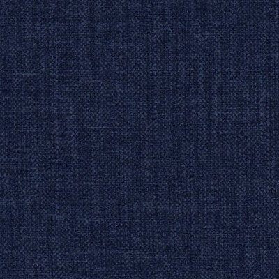 Fancy UMa Fancy 79