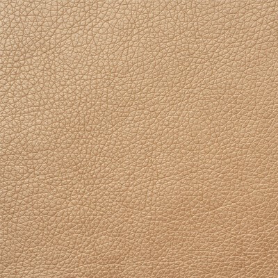 Мадрас перламутр Exim Textile Gold