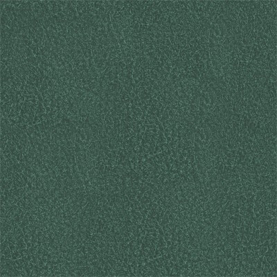 Richmond Артекс Green blue